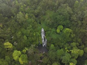 One Day Trip Sekumpul & Baturan Waterfall