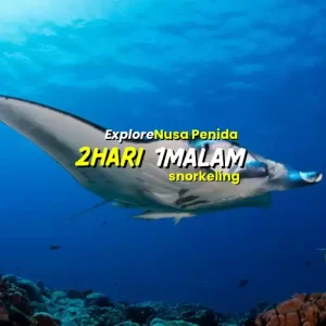 Paket Nusa Penida 2H1M ( Snorkeling )